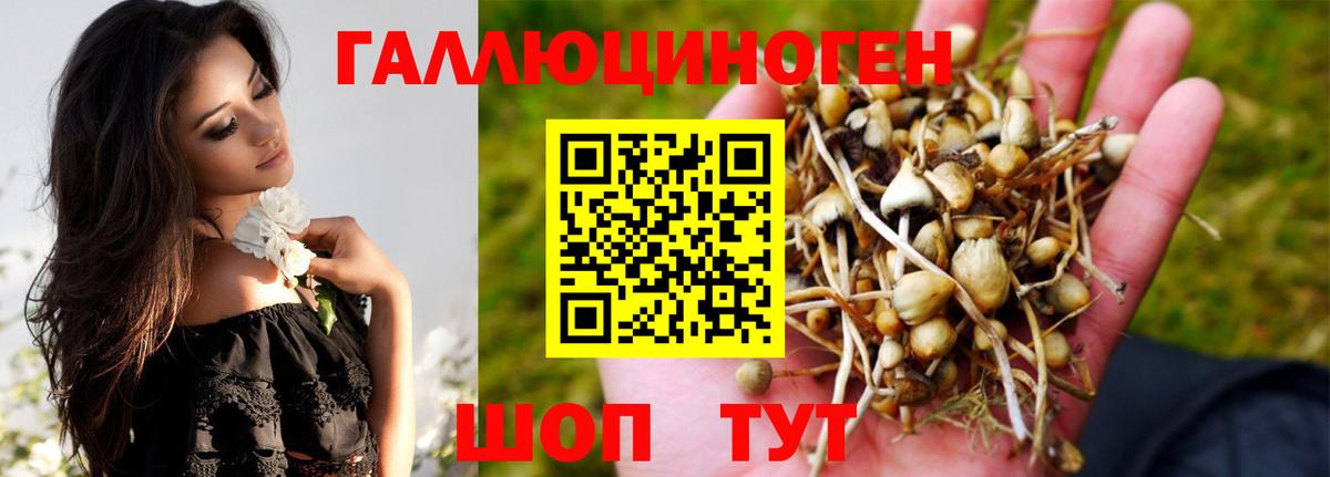 Нижний Тагил  Псилоцибиновые грибы GOLDEN TEACHER  Вход с VPN  Псилоцибиновые грибы Psilocybe 